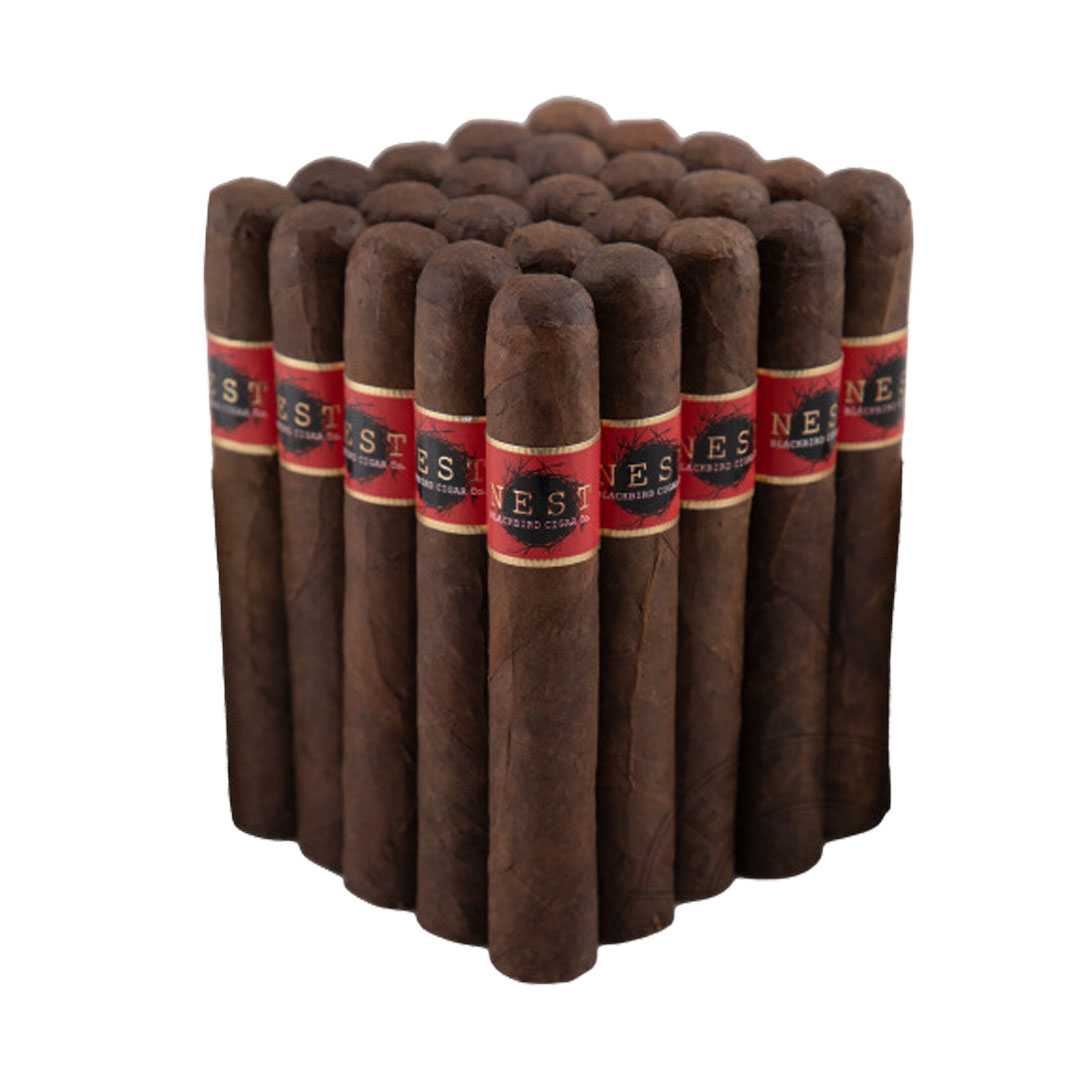Blackbird Nest Maduro Toro - Image 2